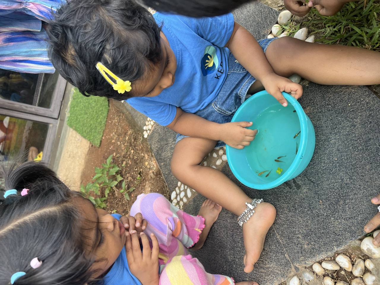 Two children watching tiny fish swimming in a blue bowl in the garden